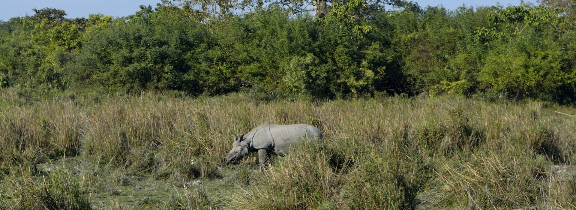 Sights of Assam Kaziranga
