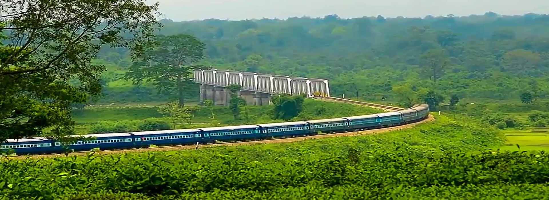 5N 6D Adorable Dooars Tour Package