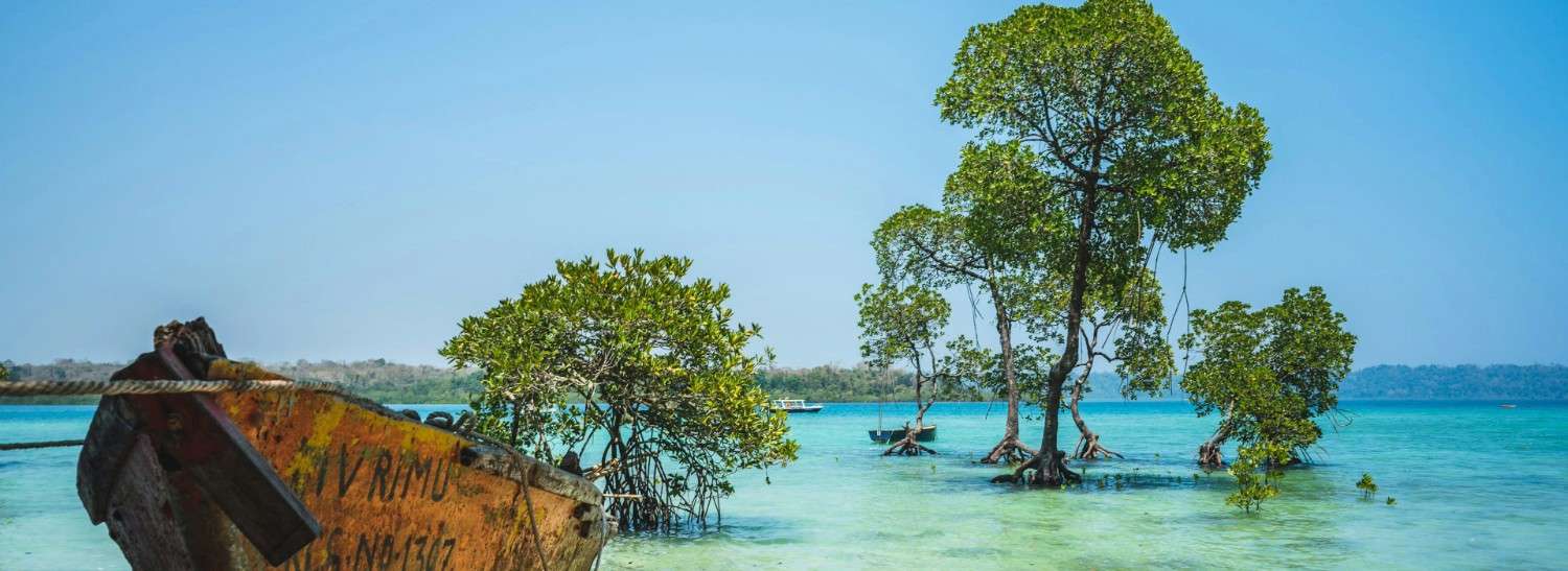 Andaman Quick Escape Tour