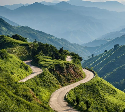 Women's Special Assam Meghalaya