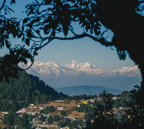 Darjeeling Nature Escape – 3 Days & 2 Nights