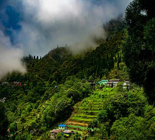 4 Night 5 Day Darjeeling Tour Package